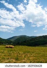 field with round alpacas in summer, with mountains in the background and clouds in the blue sky, bucolic country image - Shutterstock ID 1829506628