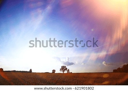 Similar – Image, Stock Photo soak up the sun