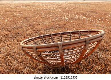 A field scene