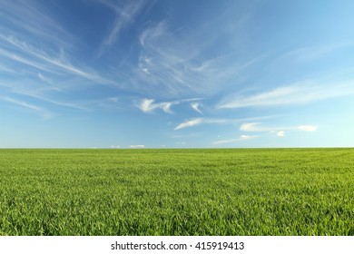 Field And Sky