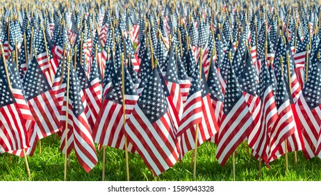 Field Small American Flags Stuck Green Stock Photo 1589043328 ...