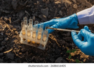 Field soil samples for analysis. Selective focus. Nature.