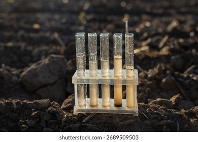 Field soil samples for analysis. Selective focus. nature.