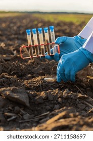 Field soil samples for analysis. Selective focus. Nature.