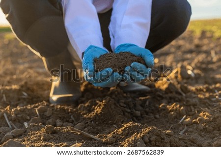 Field soil samples for analysis. Selective focus. Nature.