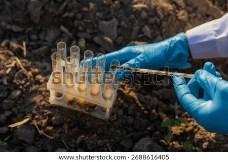 Field soil samples for analysis. Selective focus. Nature.