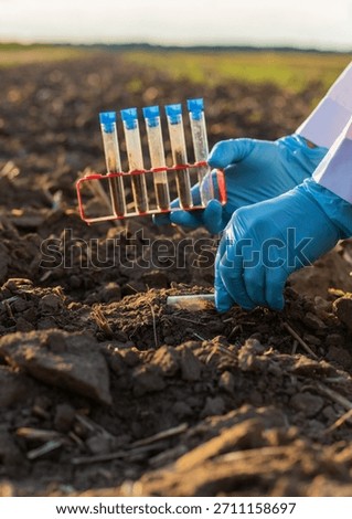 Field soil samples for analysis. Selective focus. Nature.