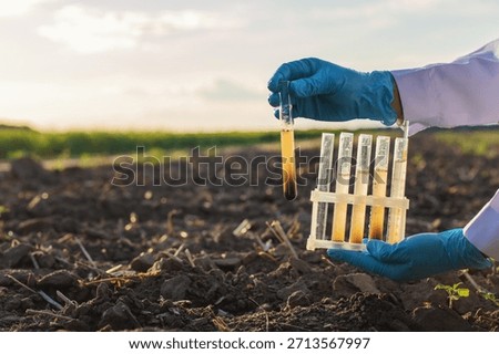 Field soil samples for analysis. Selective focus. Nature.