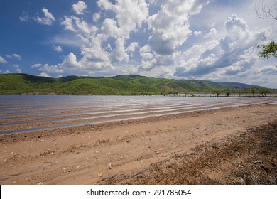 Field For The Sowing Of Arid Land Covered With Mulch Plastic Lines, In The City Of Guatemala.