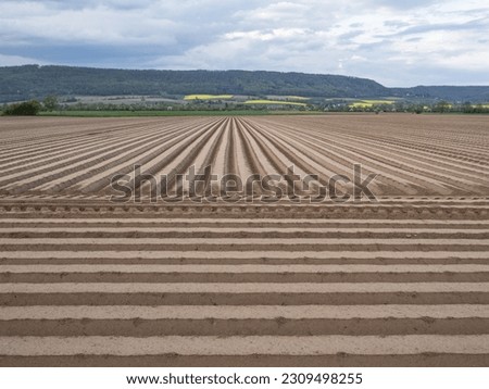 The field  at spring with furrows