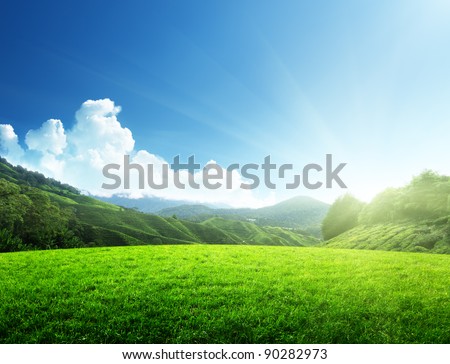 Image, Stock Photo mountain spring Mountain