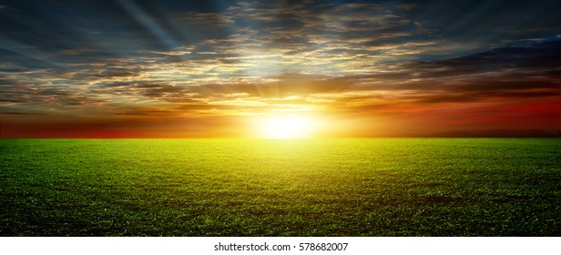  Field Of Spring Grass And Sunset