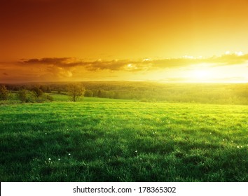 Field Of Spring Grass In Sunset Time