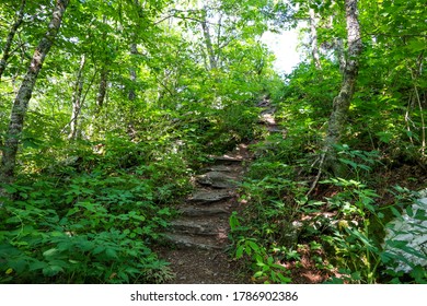 Field Stone Steps Up Mountain Side