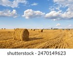 A field with straw bales after harvest, farmer on tractor in fields making straw bales on background the sky with white clouds