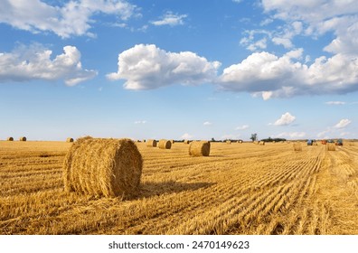 A field with straw bales after harvest, farmer on tractor in fields making straw bales on background the sky with white clouds - Powered by Shutterstock