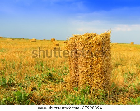 Field Stubble Landscape with Straw Bales