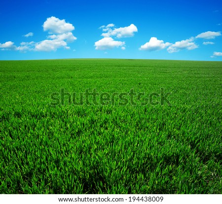 Similar – Image, Stock Photo growing maize field