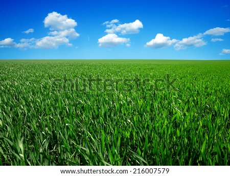 Similar – Image, Stock Photo agriculture Close-up