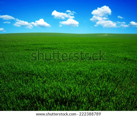 Similar – Image, Stock Photo growing maize field