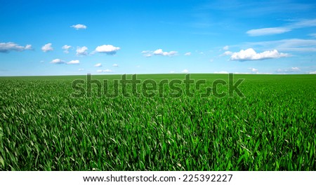 Similar – Image, Stock Photo agriculture Close-up