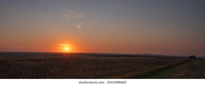 Field with a sun setting in the background. The sun is in the middle of the sky