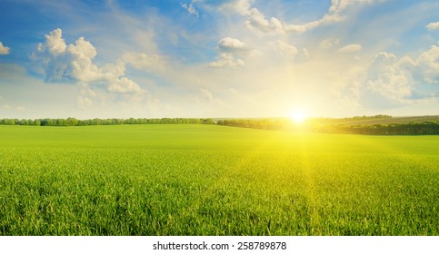 871,061 Green grass sun light Images, Stock Photos & Vectors | Shutterstock