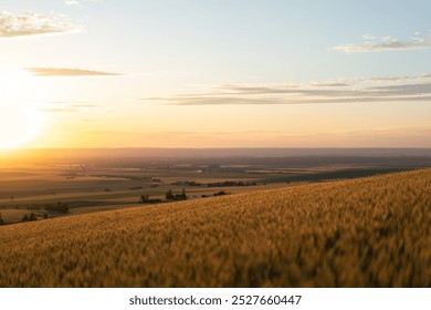 Field at sunset with clouds and tall grass. - Powered by Shutterstock