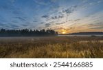 Field of tall grass with a sun setting in the background. The sky is cloudy and the sun is low on the horizon