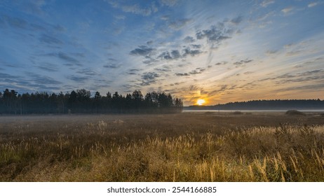 Field of tall grass with a sun setting in the background. The sky is cloudy and the sun is low on the horizon - Powered by Shutterstock