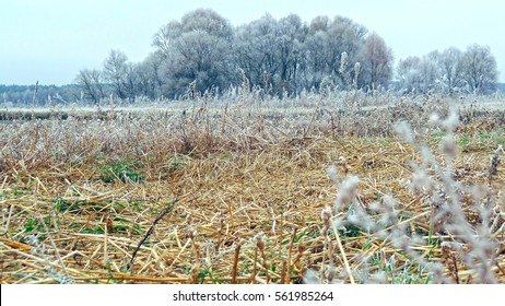 field at th winter