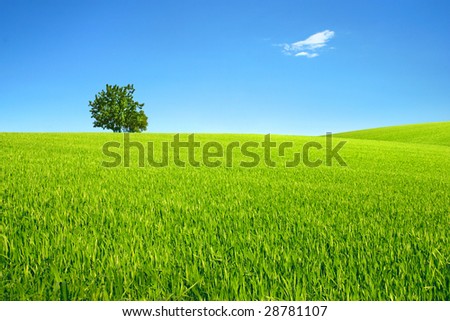 Similar – Image, Stock Photo prairie Idyll Peaceful