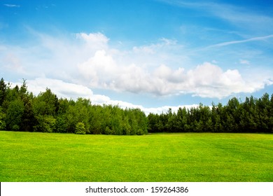 Field trees and blue sky