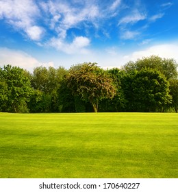 field, trees and blue sky 