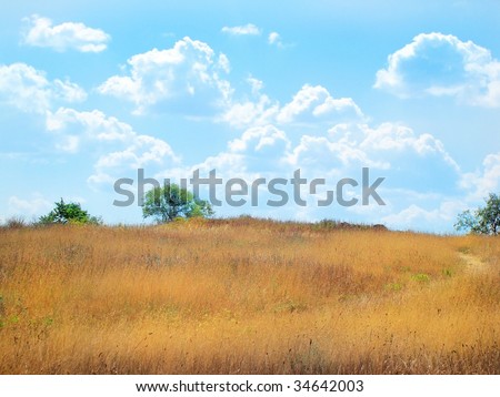 Similar – Image, Stock Photo melancholy Field Rural