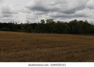 A field with trees and clouds