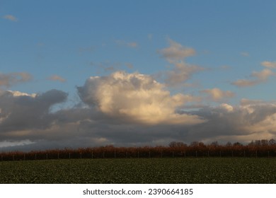 A field with trees and clouds in the sky