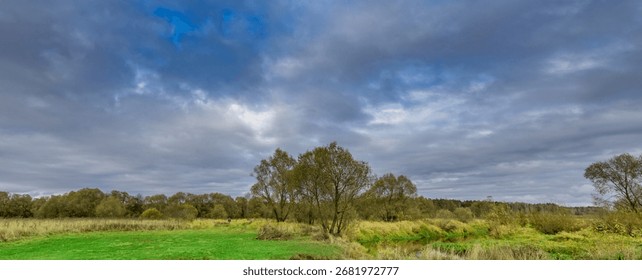 Field with trees and a cloudy sky. The sky is mostly cloudy with some patches of blue. The trees are scattered throughout the field, with some closer to the foreground and others further back