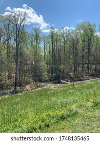 Field And Trees In Northern Virginia