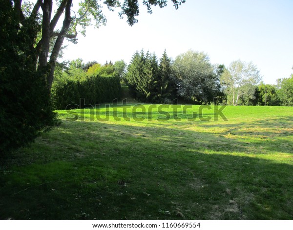 Field Trees On Background Park Called Stock Image Download Now