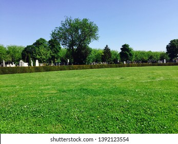 Field In The Vienna Central Cemetery