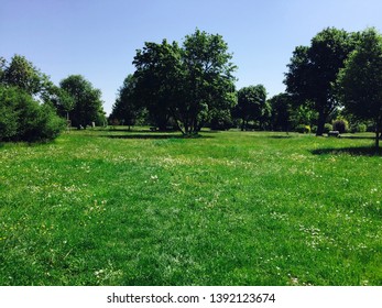 Field In The Vienna Central Cemetery