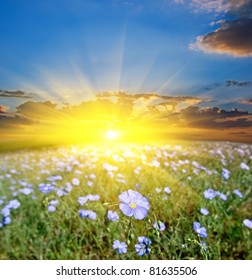 135,818 Sun Ray Flower Images, Stock Photos & Vectors 