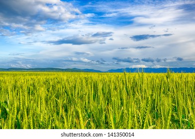 42,083 Wheat mountain Images, Stock Photos & Vectors | Shutterstock