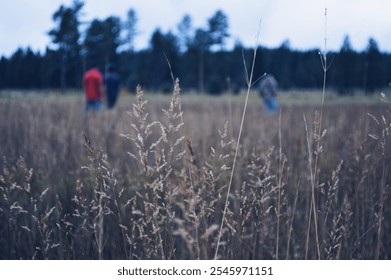 In the field while camping 