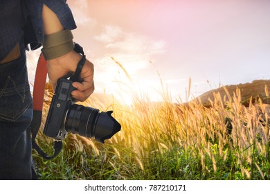 Field with wild grasses at sunset. Selective focus. Beautiful summer landscape, rural nature - Shutterstock ID 787210171