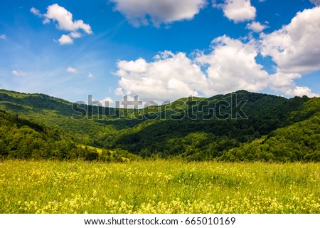 Similar – Image, Stock Photo Herbs idyll at the Inn