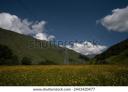 Field of yellow buttercup flowers  with blue sky and clouds
