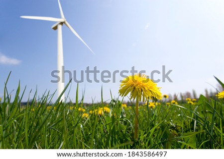 Similar – dandelion Environment