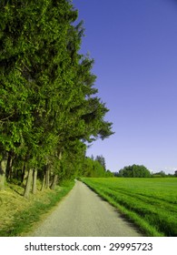 Fieldpath